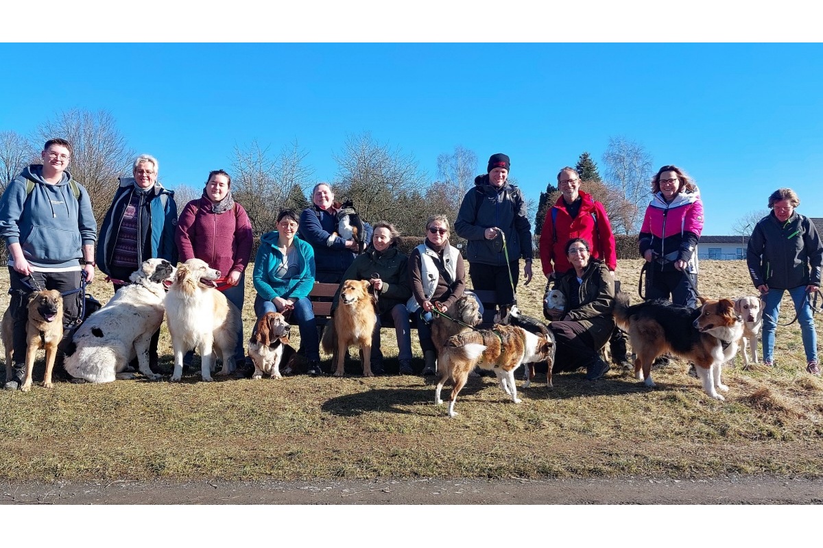 Gemeinsame Erlebnisse in der Natur: Wandern mit Hund im Westerwald