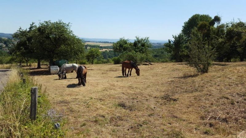 Land untersttzte Schutz der Natur im Kreis Neuwied mit 120.000 Euro