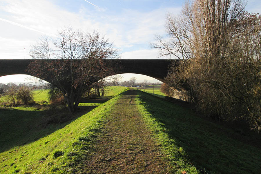 Der Rheindeich wird saniert. Archivfoto: SGD Nord
