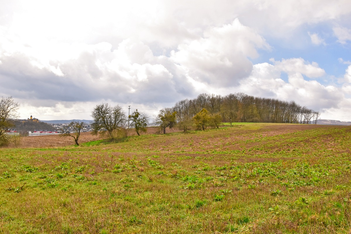 Naturschutzinitiative lehnt Gewerbegebiet am Beulkpfchen bei Eschelbach ab