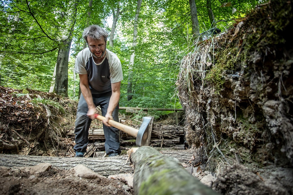 All-Inclusive-Einsatz im Wald: Bergwaldprojekt e. V. arbeitet in Hachenburg