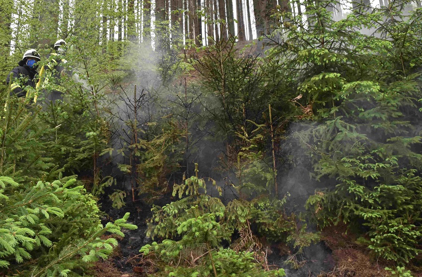 Eine Rauchwolke hatte frhzeitig auf den Schwelbrand in einem Wald aufmerksam gemacht: Die Feuerwehr Betzdorf kmmerte sich darum und konnte alles auf eine kleine Flche begrenzen. Foto: (tt)