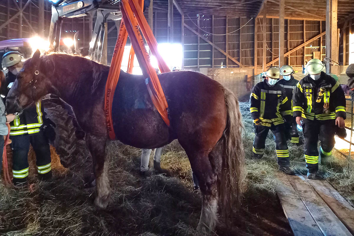 Feuerwehr Kurtscheid rettet Pferd aus Notlage