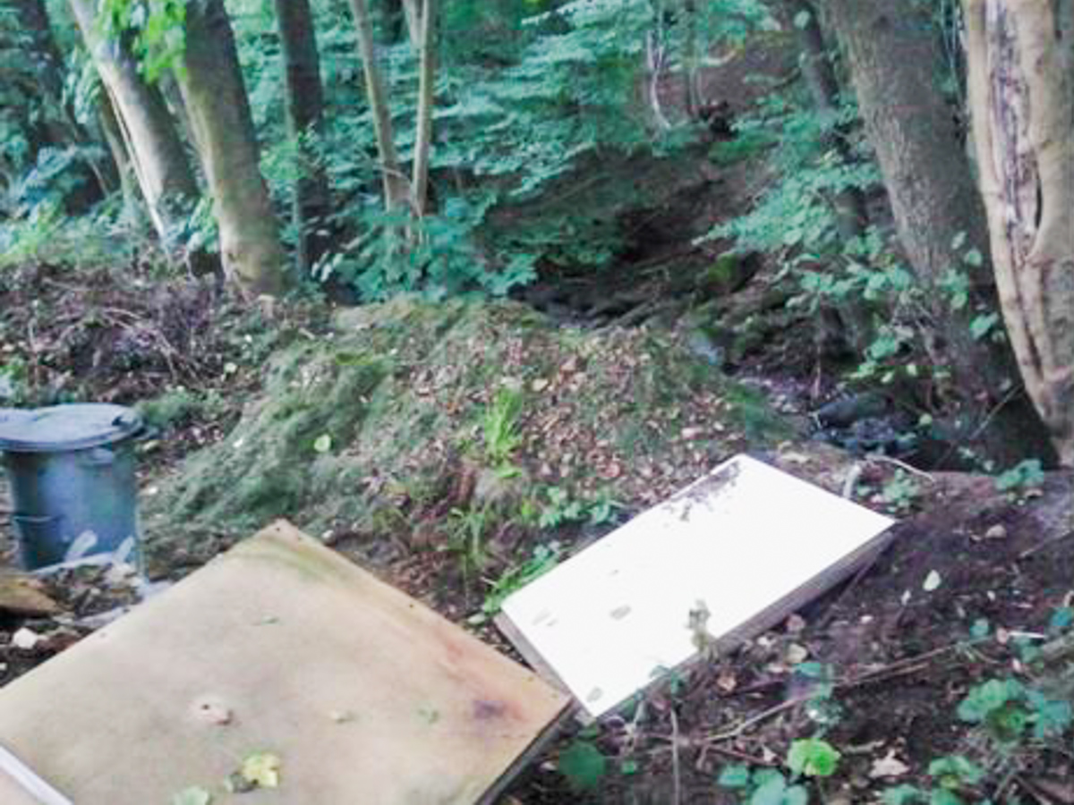 Solche Bilder sind im Westerwald keine Seltenheit. Die untere Wasserbehrde macht darauf aufmerksam, dass fr den Abfall die Angebote der WAB zu nutzen sind (Foto: Pressestelle Kreisverwaltung)