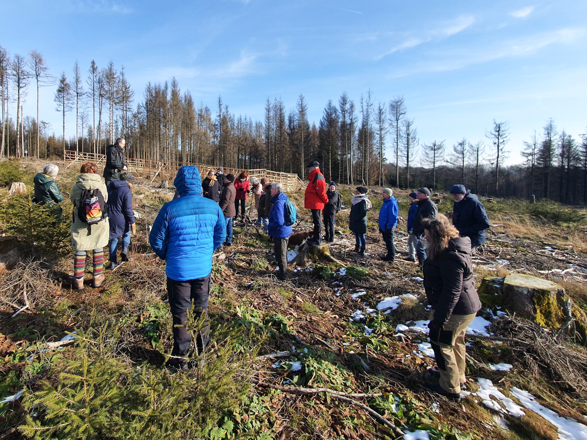 Wind im Haar, Wald im Blick: Fhrung zur Waldentwicklung