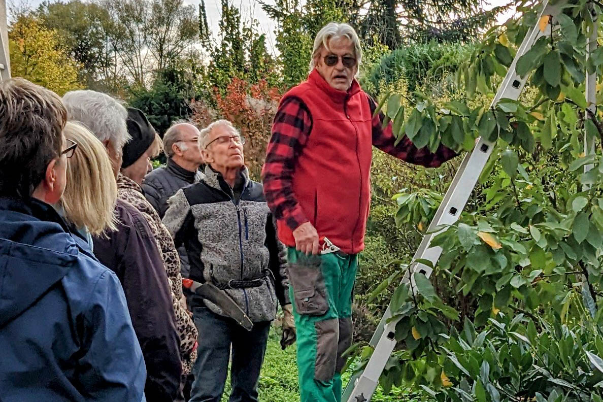 Grtnermeister Eduard Richarz zeigt den goldenden Schnitt, hier im Vorjahr. Foto: Norbert Buchbender
