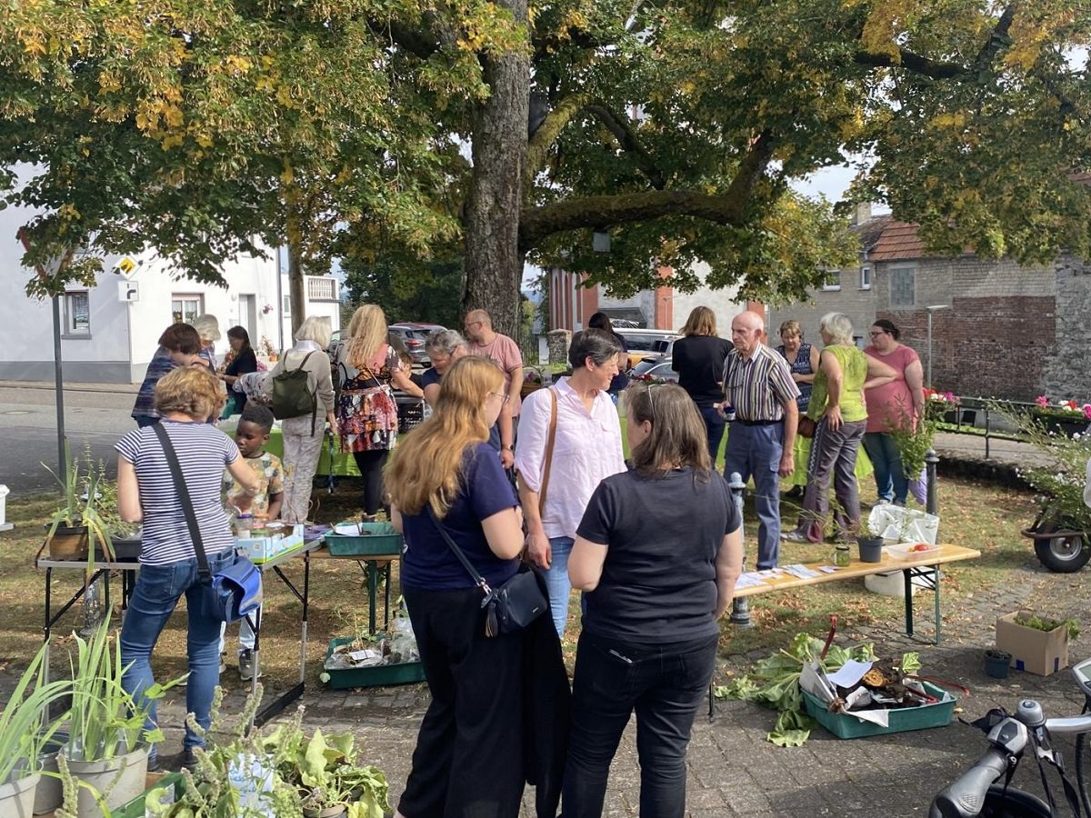 Pflanzentauschbrse in Hahn am See begeistert erneut Gartenfreunde