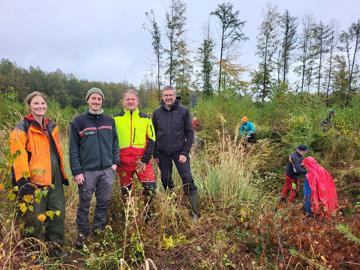 Bergwaldprojekt: Freiwillige fr den kologischen Waldschutz in Hachenburg