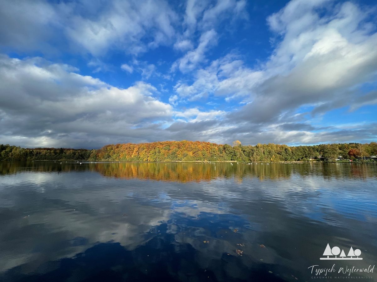 Abenteuerliche Entdeckungstour durch den herbstlichen Westerwald