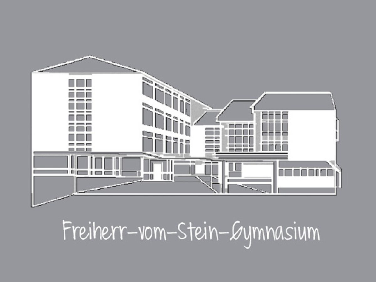 Vielfalt entdecken: Tag der offenen Tr am Freiherr-vom-Stein-Gymnasium begeistert