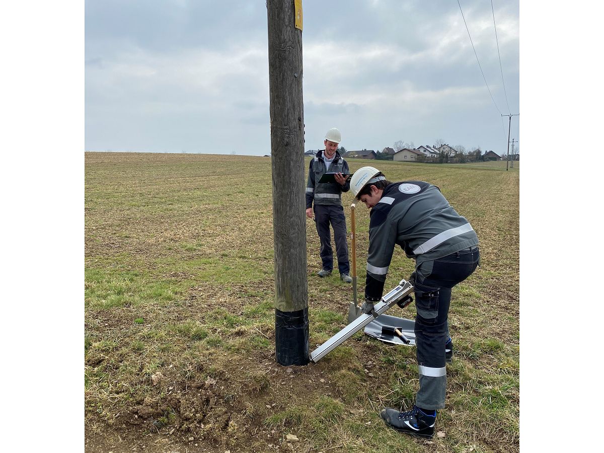 EAM Netz prft Holzmasten auf Standfestigkeit und Zustand