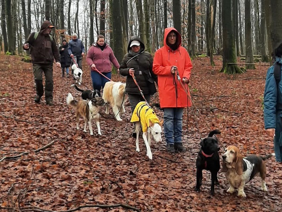 Bildquelle: Westerwaldverein Bad Marienberg