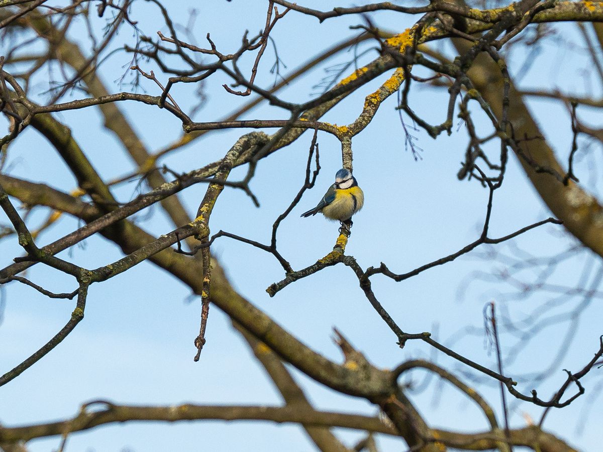 (Foto: Martin Boden / Kreisverwaltung Neuwied)