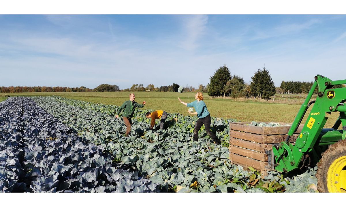 Westerwald: Biohof Dickendorf startet Solidarische Landwirtschaft (Solawi)