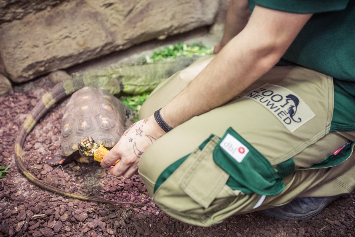 Ein Jahr fr Umweltbildung und Artenschutz: Freiwilliges kologisches Jahr im Zoo Neuwied