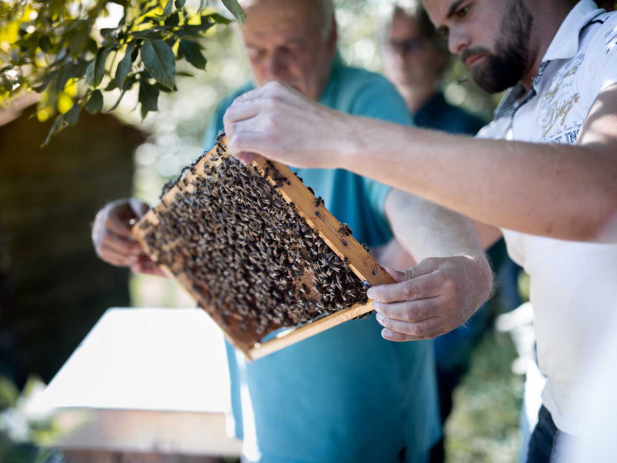 Naturnahes Imkern lernen im Westerwald