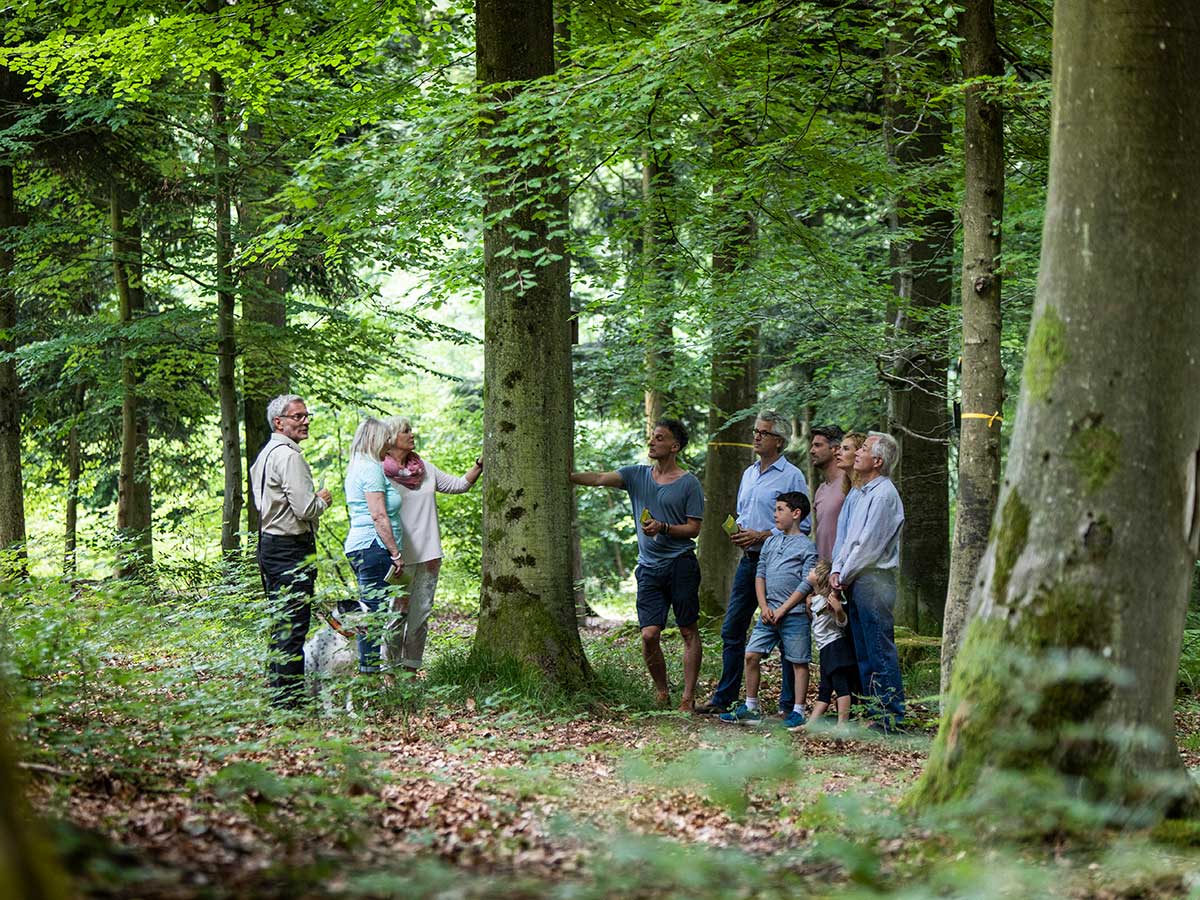 Waldfhrung durch den Friedwald. (Foto: Friedwald GmbH)