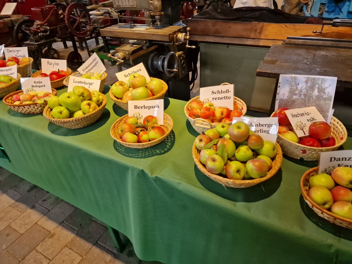 Rund um den Apfel im Technikmuseum Freudenberg