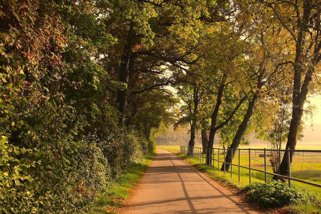 Bundesprogramm aufgestockt: 200 Millionen Euro mehr fr Parks und Grnflchen