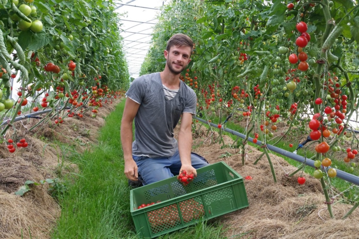 Solidarische Landwirtschaft im Westerwald: Infoabend in Altenkirchen