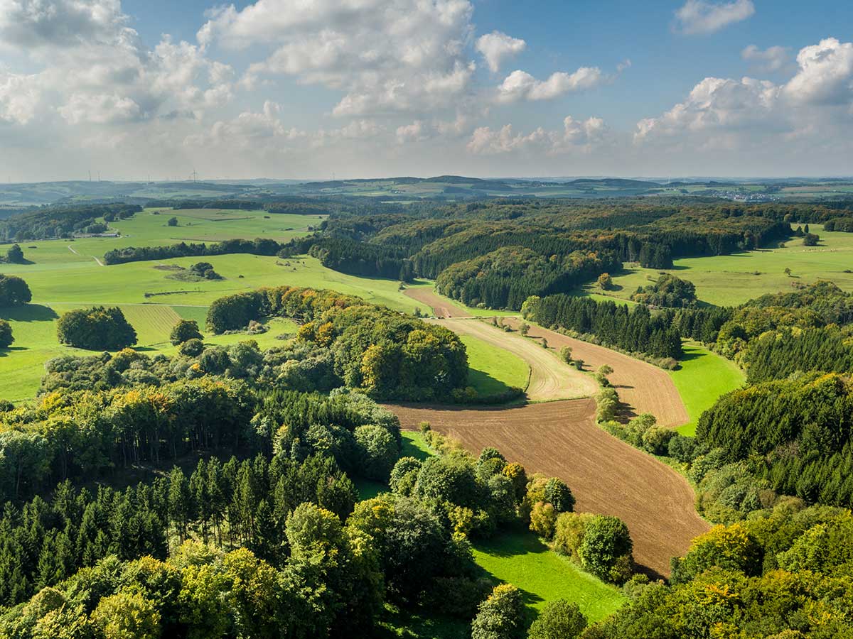 Das Foto zeigt den Naturpark Nordeifel. (Foto: Eifel Tourismus GmbH, Dominik Ketz)