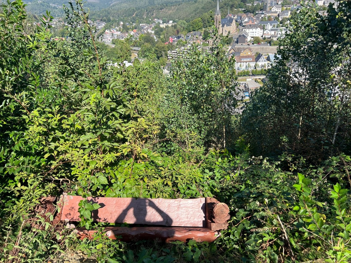 Aktuelles Foto der Wanderbank Alexanderhhe vom heutigen Tag in der Bschung der Alexanderhardt (Fotos: Verbandsgemeindeverwaltung Kirchen (Sieg))