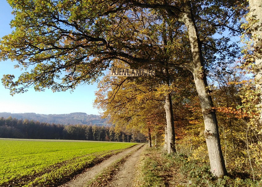 VG Wissen untersttzt LEADER-Ansatz in der Region