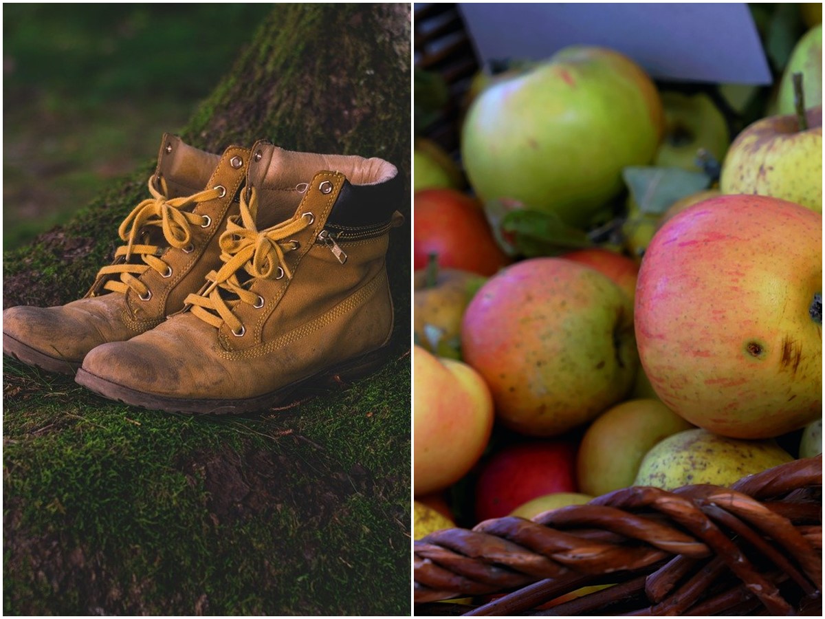 Westerwaldverein Bad Marienberg: Wanderungen und Apfelsaft