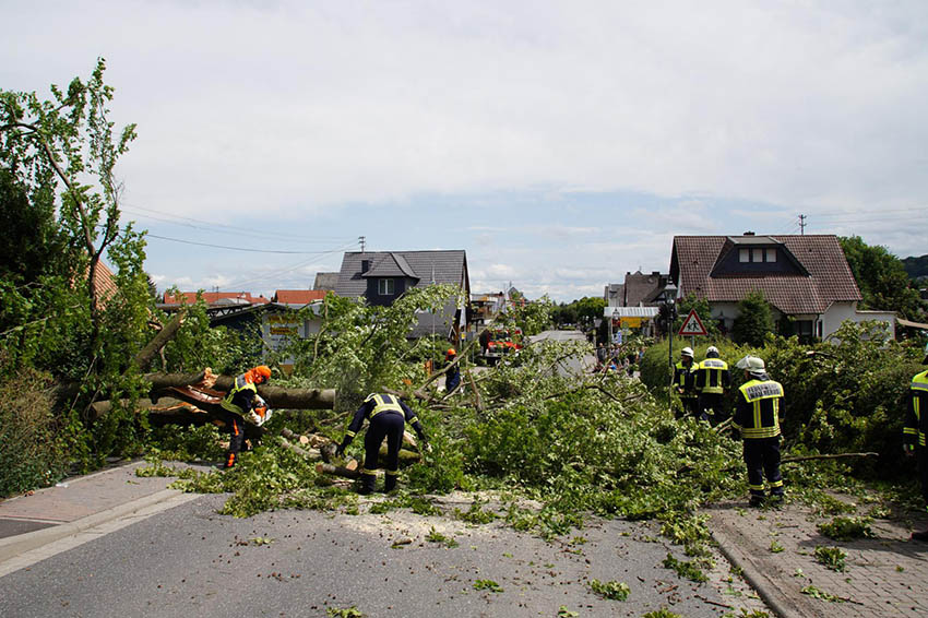 Umgestrzter Baum auf L315 in Wallmerod