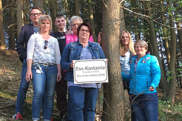 HVV Straenhaus ehrt Baum des Jahres