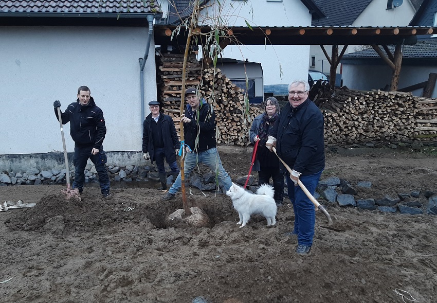 Baumpflanzung in Selbach: Nun ist der Dorfplatz belebt