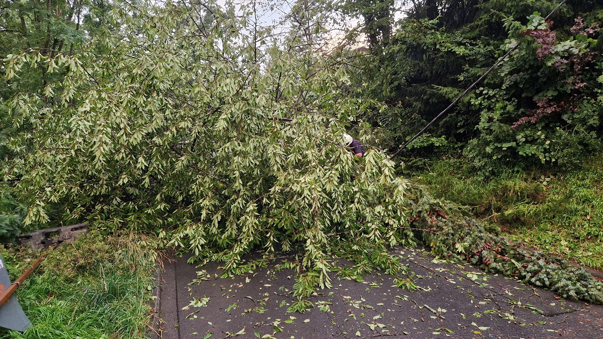 (Fotos: Feuerwehren VG Westerburg)