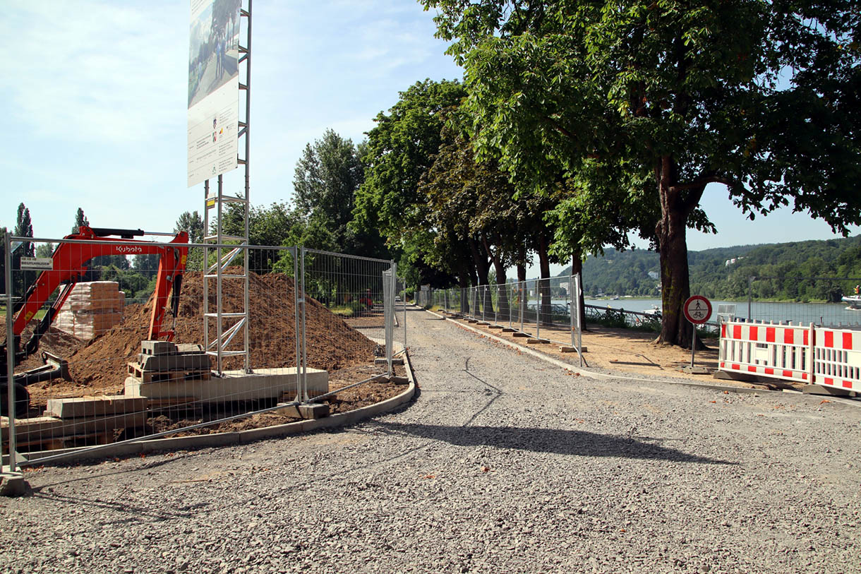 Baumanahme auf der Insel Grafenwerth. Foto: Stadt Bad Honnef