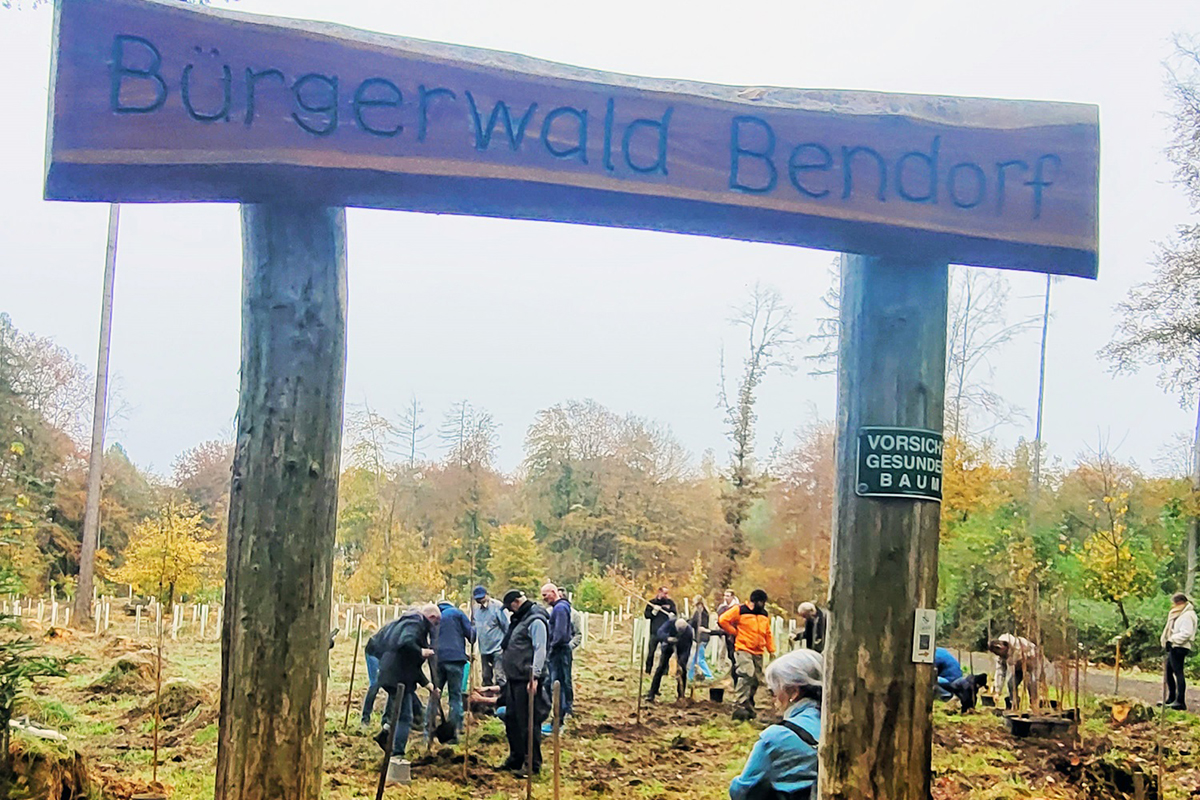 Ziel des Projektes "Brgerwald" ist es, durch Brgerengagement in Kooperation mit dem Forstrevier die Kahlflche wieder in einen klimastabilen Wald zu verwandeln. Fotos: T. Artzdorf/Stadt Bendorf