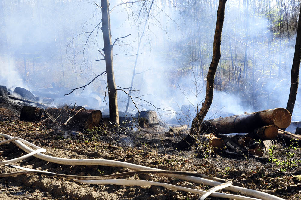 Von dem Feuer waren insgesamt etwa 1.000 Quadratmeter Waldflche betroffen. (Fotos: kk)