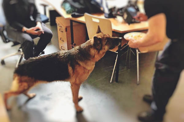 Bei der Polizei gab es lecker Fresserchen. Foto: Polizei