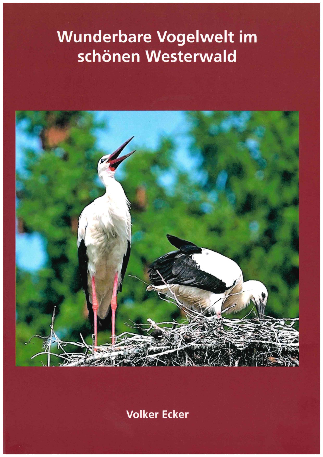 "Wunderbare Vogelwelt": Volker Ecker prsentiert Buch im Landschaftsmuseum Westerwald