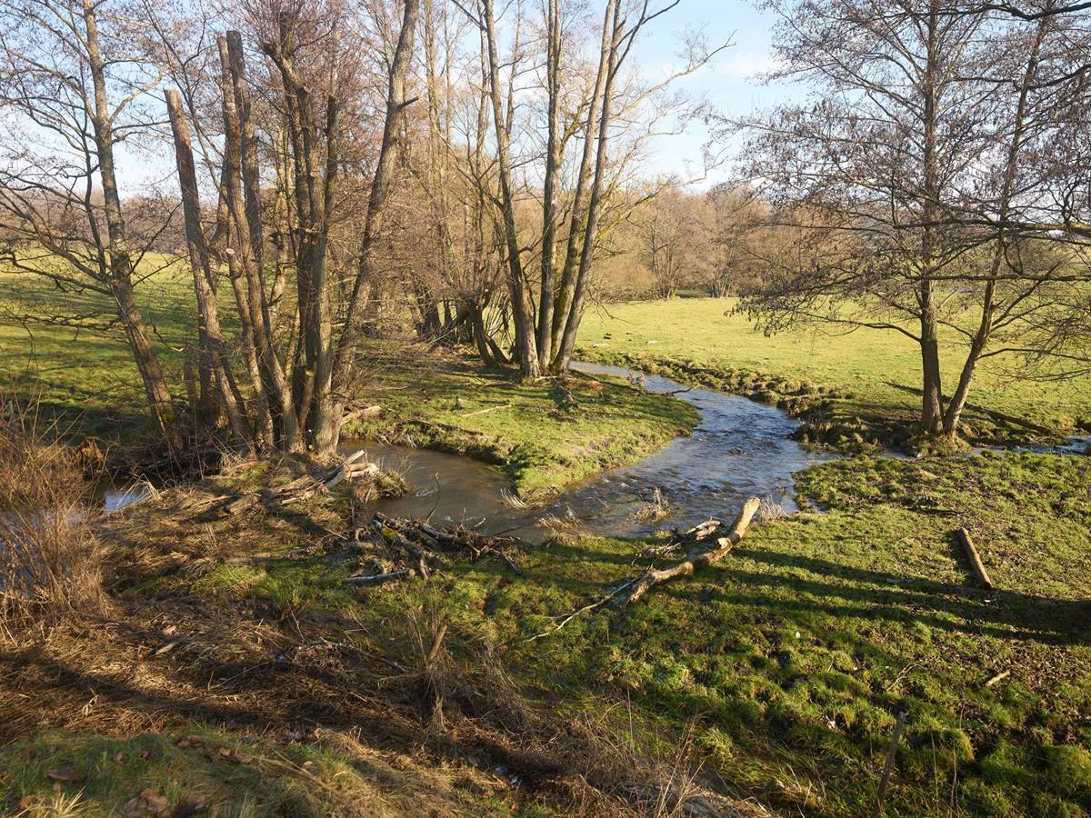 Frhlingshafte Temperaturen in Rheinland-Pfalz erwartet