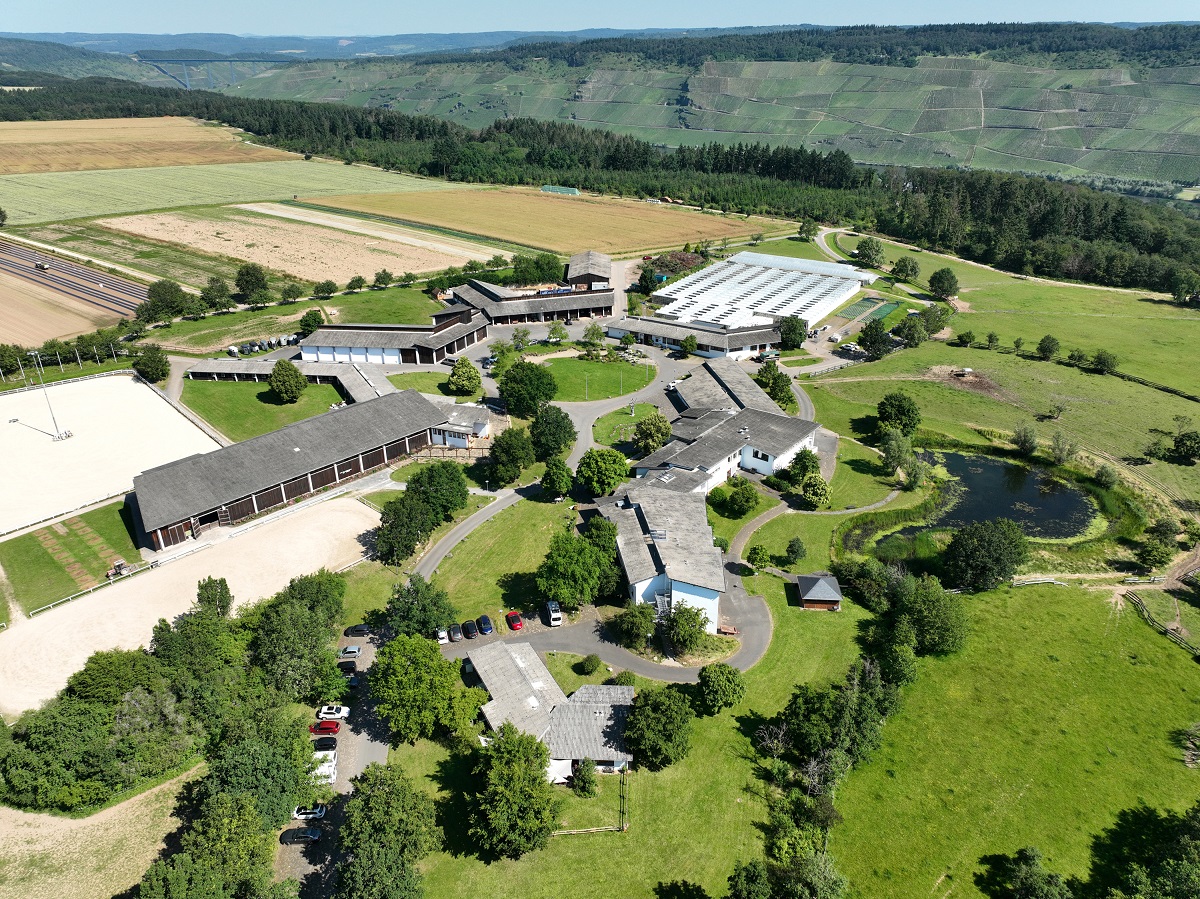 Das DRK-Sozialwerk in Bernkastel-Wittlich. (Foto: privat)