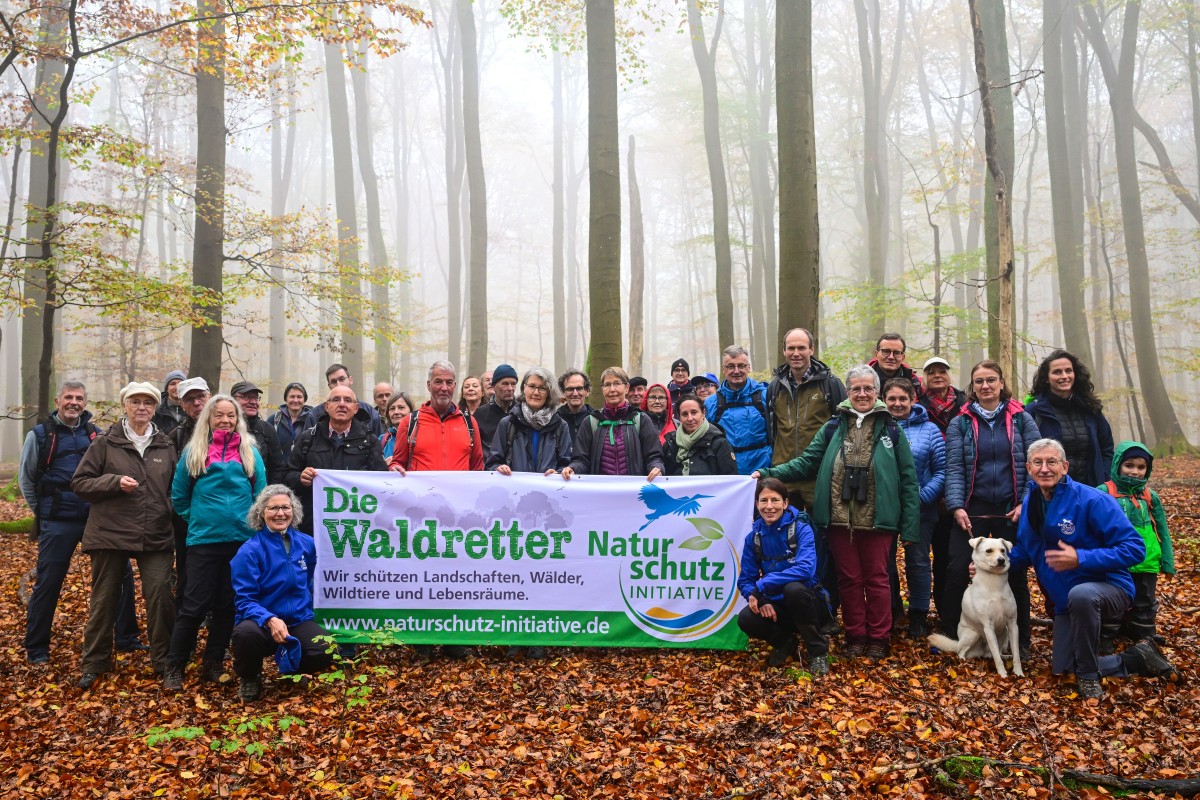 Die Exkursionsgruppe in der Waldwildnis des Naturschutzgebietes Nauberg. (Foto: Harry Neumann/NI)