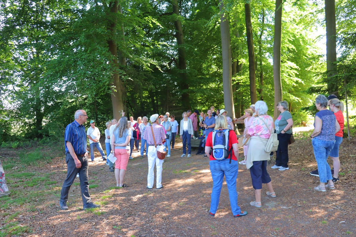 "Kirche im Grnen" am Naturerlebnispfad in Drrholz 