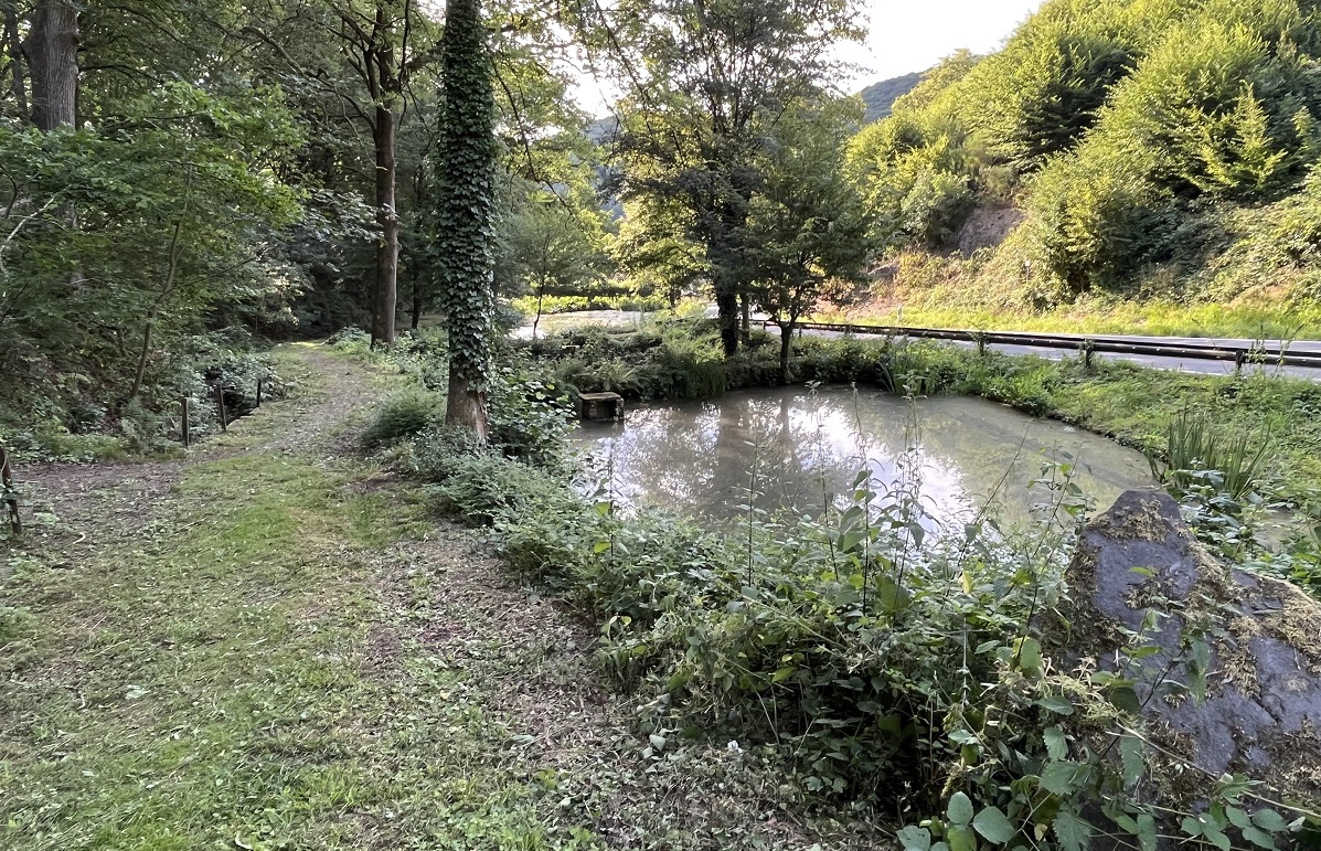 Arbeitskreis "Drei Weiher" trifft sich zum Arbeitseinsatz