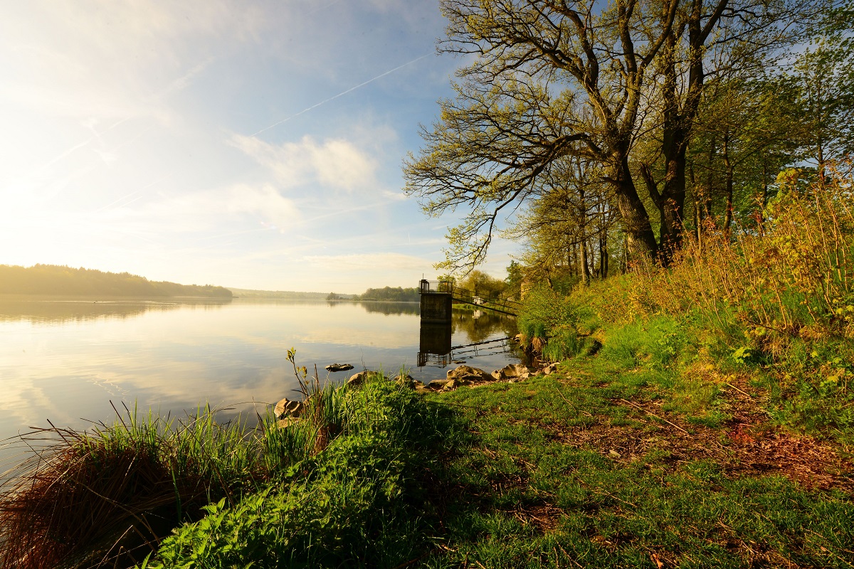 Naturschtzer fordern: "Absenkung des Wasserstandes am Dreifelder Weiher sofort stoppen!"