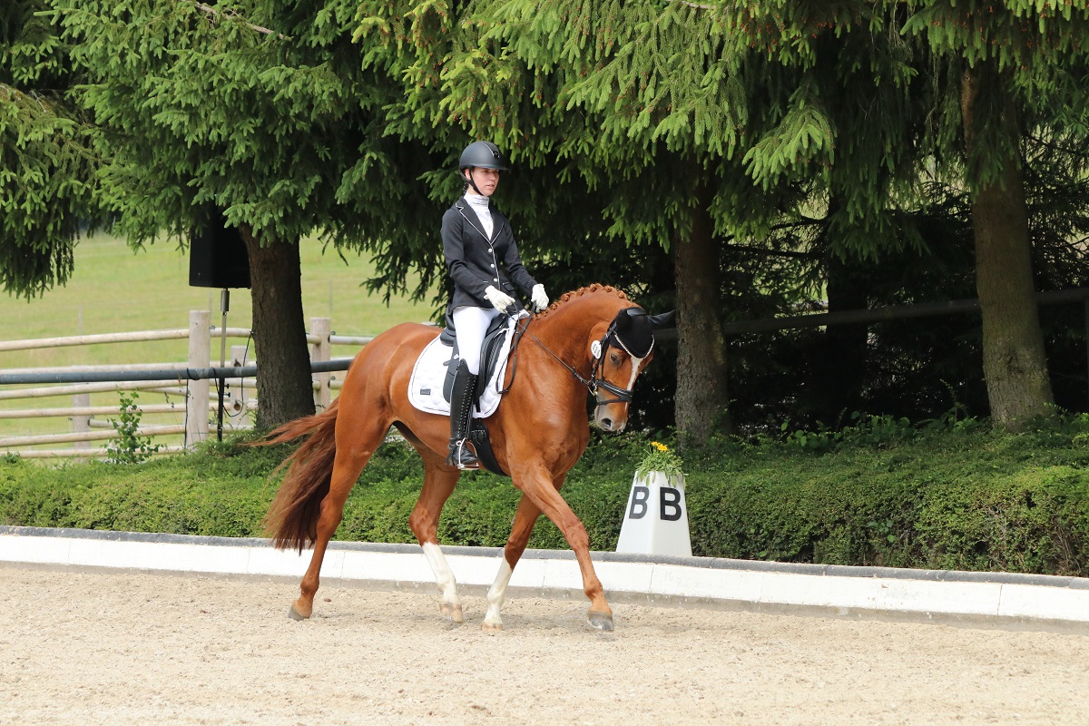 Herbstturnier des Reitervereins Montabaur-Horressen