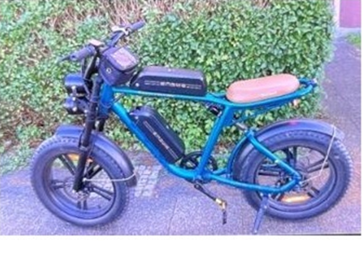 Foto des gestohlenen E-Bikes (Foto: Polizei)