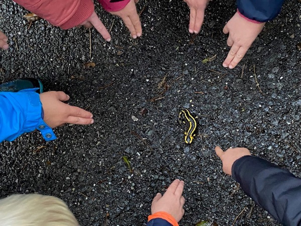 In Linz wurde der Herbst mit Salamandern, Geistern und einem Traumfresserchen eingelutet 