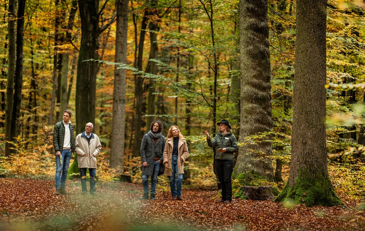 Fhrung durch den FriedWald Wildenburger Land