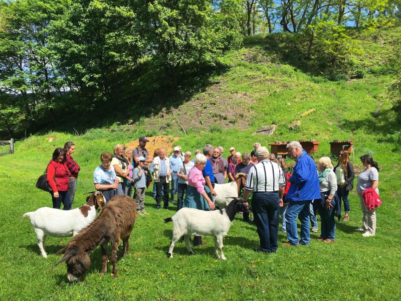 Die Fhrung thematisiert den Wandel vom ehemaligen Industriegelnde zum Naturparadies (Foto: SWR, Tom Neumann)