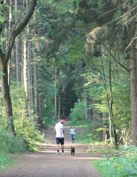 Spazieren gehen, walken, joggen, wandern und nebenan schwimmen oder Tennis spielen: Die Sport-Meile im Stadtwald ist sehr beliebt und wird bald mit dem neuen Fitness-Parcours weiter aufgewertet. Foto: privat