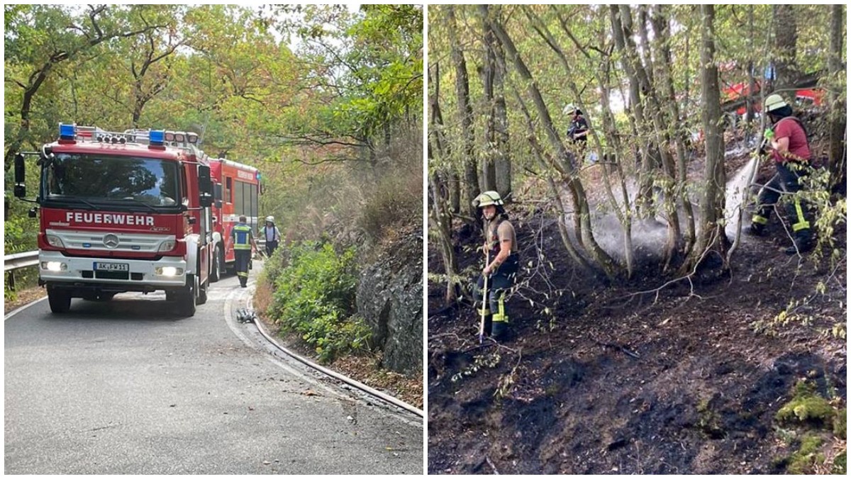 Erneut forderte der Brand einer Flche im Hangbereich die Feuerwehr Wissen
